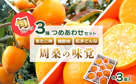 【先行予約・12月発送】旬のフルーツ3種セット 紅まどんな あたご柿 横野柿「周桑の味覚」各3個入り｜ 紅まどんな 紅マドンナ 柿 かき カキ