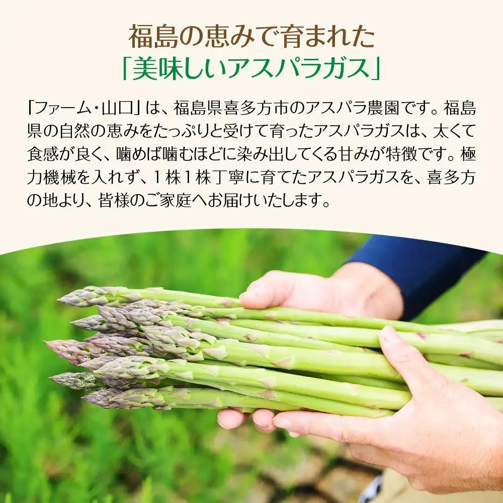 朝採れ新鮮！喜多方産　グリーンアスパラガス　1kg（L～2Lサイズ）　【07208-0629】