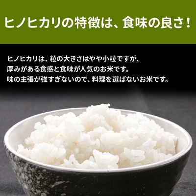 【無洗米】鹿児島県産ヒノヒカリ5kg