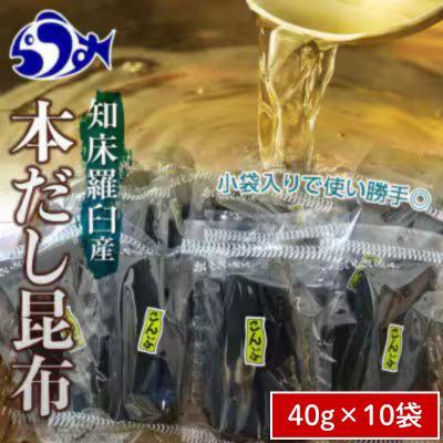 ふるさと納税 羅臼町 北海道羅臼町　昆布だし用小分け昆布10袋セット(40g×10袋)