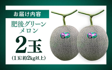 【先行予約】 【数量限定】 山鹿の恵み! 匠の育てた　肥後グリーン メロン 約4㎏以上（約2kg以上×2玉）【きもと農園】[ZFQ001]