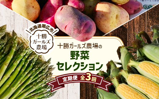 【発送月固定定期便】直送!【北海道の定番便】十勝ガールズ農場の野菜セレクション全3回【配送不可地域:離島】