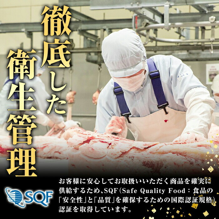 鹿児島県産 黒毛和牛 4等級以上 サーロイン ステーキ (約800g・約200g×4枚) 国産 牛肉 サーロイン ステーキ 4等級 バーベキュー BBQ おかず 冷凍 ステーキ肉 お肉 大判 個包装 