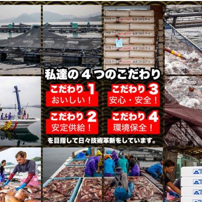 ふるさと納税 沼津市 沼津産真鯛干物(4切れ) |  | 03