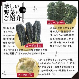 西洋野菜 良農園 旬野菜ギフト8～10品