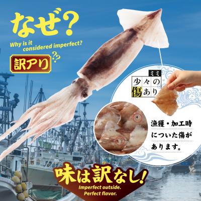 ふるさと納税 興部町 【ワケあり】イカミミ3kg (500g×6袋) 6ヶ月定期便【20053】 |  | 01