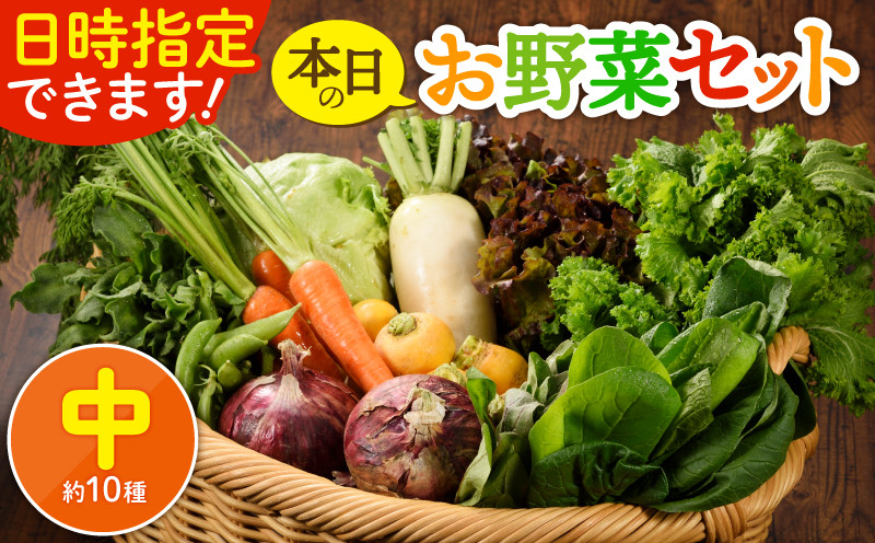 
            日時指定OK！本日のお野菜セット 〈中サイズ/約10種〉 2～3人用 新鮮 産地直送 野菜詰め合わせ 有機栽培 野菜 果物 野菜セット 野菜定期便 送料無料 【オーガニックのまち 宮崎県綾町】
          