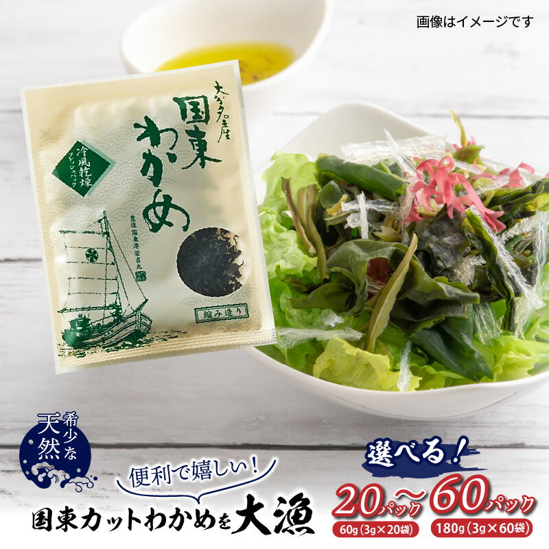 【ふるさと納税】【選べる容量】カット わかめ 小分け 乾燥 便利 人気 味噌汁 酢の物 サラダ スープ おにぎり 天然 国産 冷風乾燥わかめ 大分 国東 九州 海藻 シャキシャキ お取り寄せ 食品 海の幸 送料無料