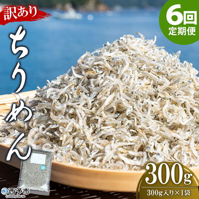 ＜【6回定期便】訳あり ちりめん 合計300g（300g入り×1袋）＞ 選べる 定期便 天日干し お徳用 しらす シラス じゃこ 小分け 魚 小魚 海産物 加工品 おにぎり おつまみ おやつ 家庭用 特産品 網元・祇園丸 愛媛県 西予市