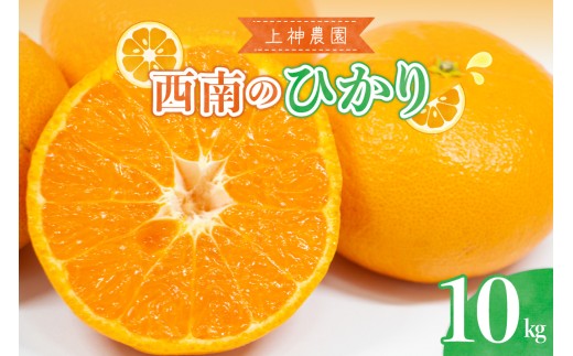 【先行受付】【2026年12月上旬～発送】上神農園の西南のひかり 約10kg ku011-046-26