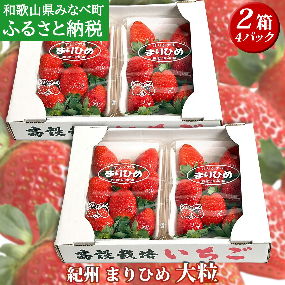 【ふるさと納税】いちご（まりひめ）DXサイズ　約300g×4パック / 苺 イチゴ 甘い あまい 大粒 朝摘み 朝採れ 新鮮 果物 フルーツ 旬 和歌山県オリジナル品種