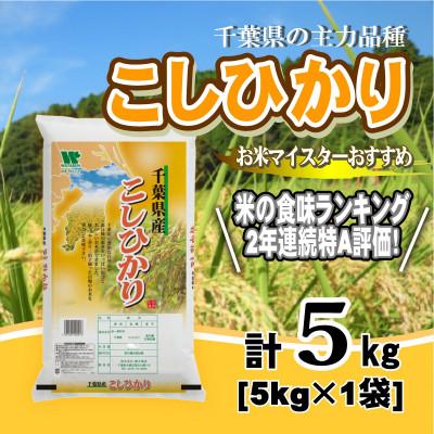 ふるさと納税 大網白里市 【令和7年産】【特A評価】千葉県産「コシヒカリ」精米 5kg(5kg×1袋)