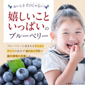 冷凍ブルーベリー 1kg_冷凍 ブルーベリー １kg 完熟 自家農園 ミキサー アイス ヨーグルト シャーベット スムージー アントシアニン 疲れ目 腸内環境 国産 ジャム レシピ 冷凍フルーツ 果物
