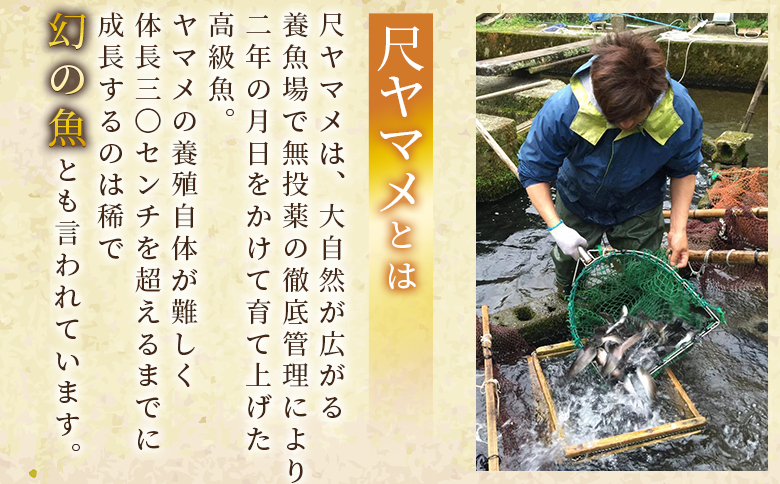 ＜尺ヤマメ甘露煮 3本＞国産 九州産 山女魚 水産物 魚 魚介 養殖魚 誕生日 プレゼント ギフト 贈答品 おせち料理 おかず おつまみ 肴 バーベキュー BBQ【MI756-sk】【有限会社しゃくな