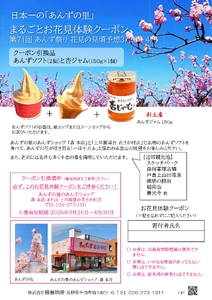 日本一のあんずの里まるごとお花見体験クーポン（名物杏ソフトと杏ジャムのお土産付き）｜長野県 千曲市