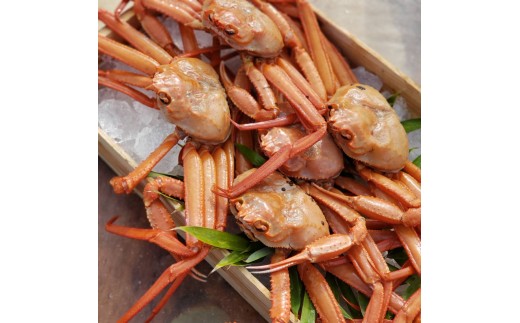 ＜7～8月配送不可＞山陰産！ボイル紅ずわいがに(姿2枚・計1kg以上)