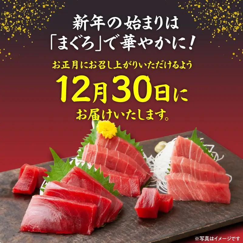 【 年内発送 】 神奈川県漁連 天然 本マグロ 赤身 柵【 お正月 用 】 M077-013-01 冷凍 マグロ