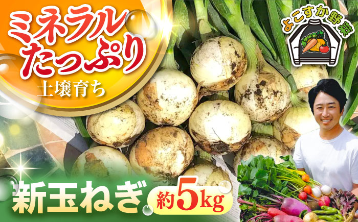 【先行予約】【数量限定】新玉ねぎ　約5kg（3月～4月）【鈴也ファーム】 [AKCE019]