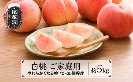 先行予約 訳あり 白桃 無印品 5kg (10-20個程度) 8月上旬頃~発送 山形県産 2025年産 令和7年産  (フルーツ 果物 くだもの 桃 訳あり訳あり訳あり 訳あり訳あり訳あり もももももも もももももも モモモモモモ モモモモモモ) 2025年産 令和7年産 佐竹物産 sb-mohtw5