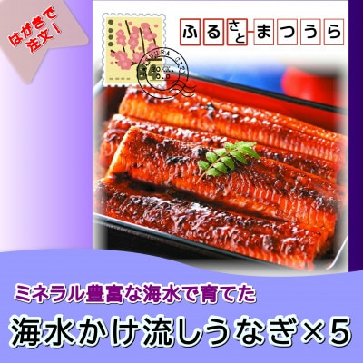 お届けオーダーメイド!海水かけ流しうなぎ蒲焼3尾×5回【配送不可地域：離島】【1342677】