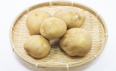 静岡県浜松市産 三方原馬鈴薯 秀品 L 10kg 男爵 じゃがいも じゃが芋 ジャガイモ 国産 野菜 浜松市