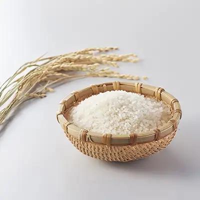 令和７年産 つや姫６ｋｇ（２ｋｇ×３袋）　0059-2519