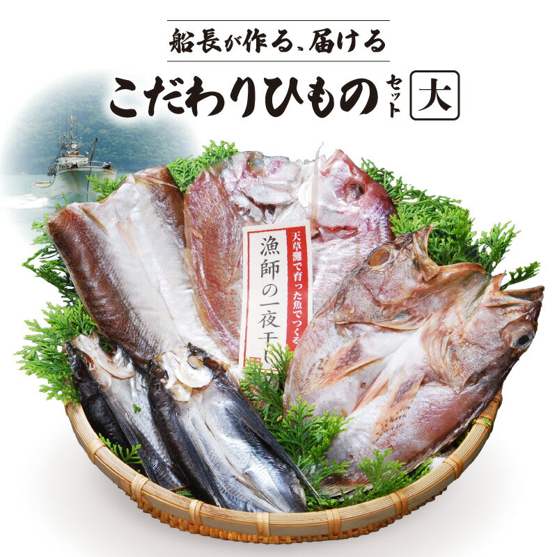 【ふるさと納税】干物 天然 獲れたて 旬 大 約 7パック タイ カマス イカ エソ イトヨリ アオナ メシマ メゴチ 鮮度 新鮮 厳選