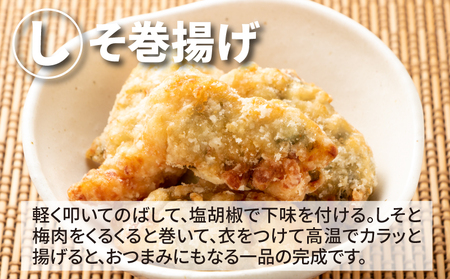 宮崎県産若鶏ササミ 小分け1.5㎏ K16_0122