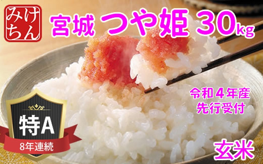 
◆令和4年産　宮城県産つや姫 玄米30kg　◆9年連続最高評価特A受賞【1339297】
