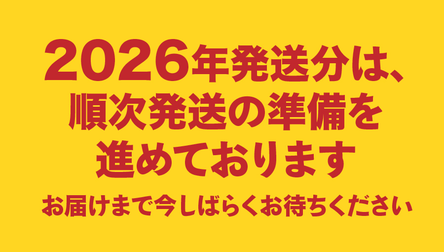 【2027年発送 先行予約】【2回定期便】山梨朝どれ桃2kg×2回配送（白鳳系・白桃系）
