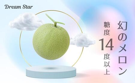 【2025年5月以降発送】さぬきメロン Dream Star 1.3kg以上｜メロン 糖度 14度以上 甘い フルーツ 果物 くだもの 特産 ふるさと 坂出市 香川 さぬき 食品 人気 おすすめ 送料無料