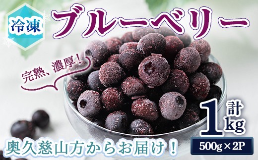 
                  冷凍ブルーベリー1kg ブルーベリー 果物 フルーツ 青果物 冷凍 スムージー ヨーグルト おやつ 【奥久慈 まほろばの郷 ふれあい農園】【ho1524】
                
