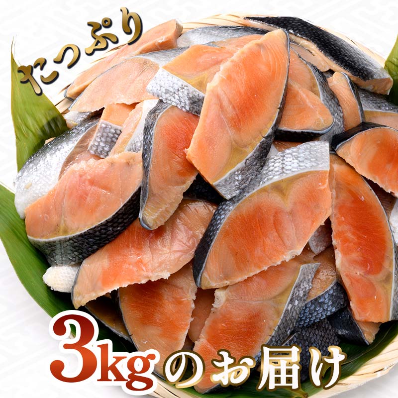 訳あり 紅鮭 約3kg 鮭 打ち身 わけあり しゃけ サーモン 切り身 サケ さけ わけあり 規格外 不揃い 切り落とし 釧路市 北海道 F4F-8287