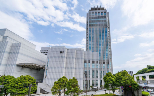 よこすか海軍カレーセット 200g×80箱 海軍カレー カレー レトルトカレー レトルト食品 かれー カレーライス レトルト カレー 自宅用 簡単料理 ごはんのお供 国産 銘品 横須賀 海軍カレー ご