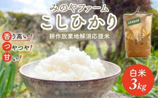令和7年産新米 こしひかり 3ｋｇ（白米） みのやファーム耕作放棄地解消応援米  【 コシヒカリ こしひかり おいしい お米 米 こめ 自然栽培 贈り物 ギフト 千葉県 御宿町 人気 おすすめ ランキング 】 ONJF002