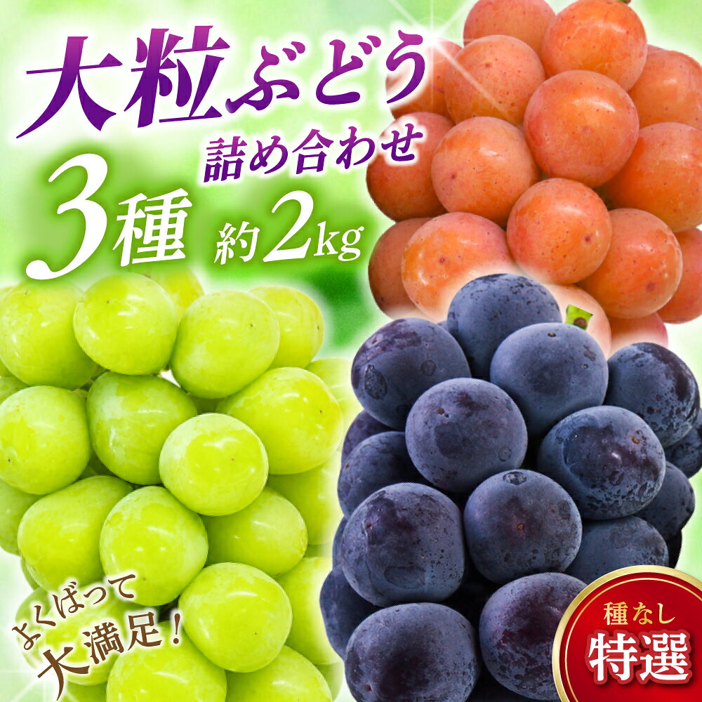 【ふるさと納税】 ぶどう ご家庭用 大粒 シャインマスカット ピオーネ クイーンニーナ 3種 食べ比べ セット 【2026年 先行予約 9月下旬〜12月順次発送】 種なし ブドウ 葡萄 先行予約 フルーツ 果物 大粒 真庭市 人気 期間限定 くだもの 送料無料 2026年発送 ギフト 国産