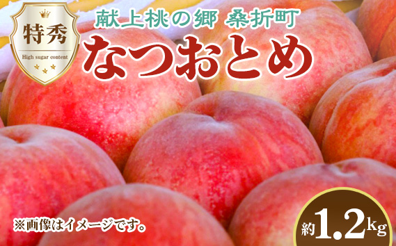 もも【なつおとめ・2026年産】特秀1.2kg　桑折町産　JAふくしま未来　桃