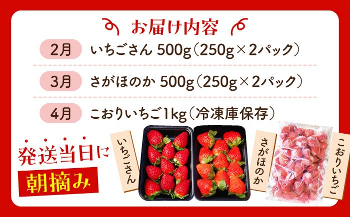 【全3回定期便】いちご食べ尽くし定期（さがほのか いちごさん こおりいちご）[HAF027] いちご 苺 イチゴ 果物 フルーツ