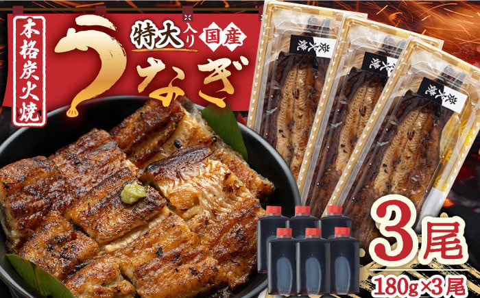 
            国産 うなぎ 本格炭火焼 蒲焼 特大 3尾 計540g（180g×3尾）/炭火焼古賀 [UDH013] 手焼き ウナギ 鰻 蒲焼き かば焼き
          