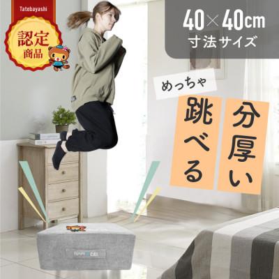 ふるさと納税 館林市 ぽんちゃん トランポリンクッション (ライトグレー) 40cm×40cm 高反発 室内用 | 