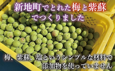 昔ながらの梅干し 200g×2パック 無添加 梅干し | 田舎の梅干し すっぱい 訳あり 梅干 うめぼし 保存料無添加 着色料無添加 福島県 新地町 送料無料 すっぱい 熱中症対策 お試し お取り寄せ