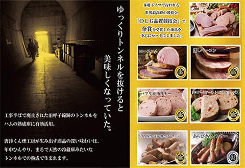 「お中元」本場ドイツで連続受賞 8点セット (合計約840g) 匠のハム・ベーコン・ソーセージ 合成添加物不使用 詰合せ おつまみ おかず 贈答用 ギフト