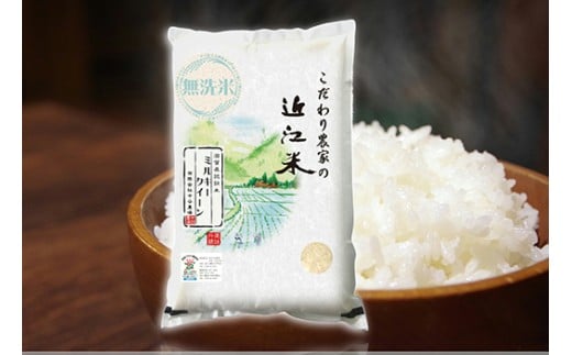 【7年産】近江米 環境こだわり栽培 ミルキークイーン 無洗米【5kg×1】【BN16W】 米 5kg 10kg 白米 みるきーくいーん 国産 農家直送 環境こだわり お米 こめ おこめ 新米 先行予約 農家直送 産地直送 滋賀県 近江八幡市