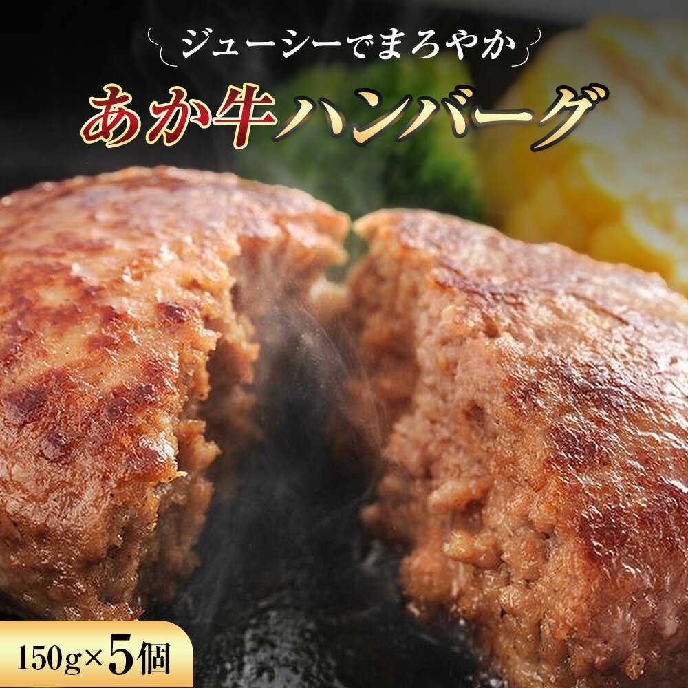 【ふるさと納税】熊本和牛あか牛ハンバーグ 150g×5個 合計750g 肉 お肉 牛肉 ハンバーグ 惣菜 グルメ 国産 熊本県産 冷凍 和牛 あか牛 九州 熊本県 送料無料