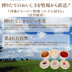 ZuT溶けにくい アイス ミルク 2L 京都のアイス 至福のアイス 美味しいアイス ミルクアイス アイスセット