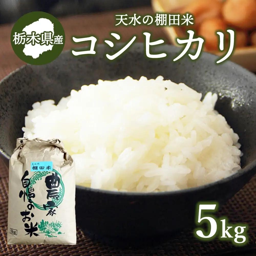 11-4【11月下旬発送】天水の棚田米  コシヒカリ 5kg