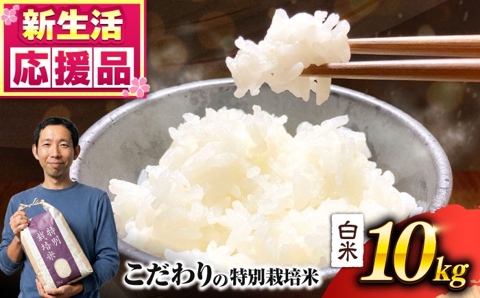 
                   【令和7年度】 くまさんの輝き 白米 10kg (1袋)  米 お米 白米 お米 10kg 10キロ ごはん ライス こめ 精米 ブランド米 くまさんの輝き 10kg 10ｷﾛ 熊本県産 合志市 産地直送 送料無料【坂本農園】 [AYCC035]
                