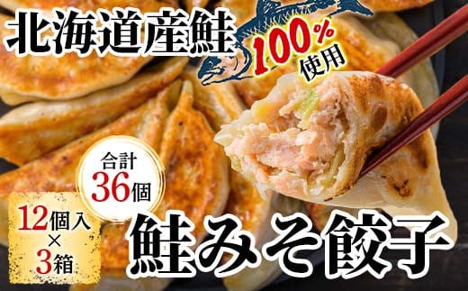 
            千歳市の高校と天のびろくがコラボ！さけみそ餃子 3箱セット F6S-056
          
