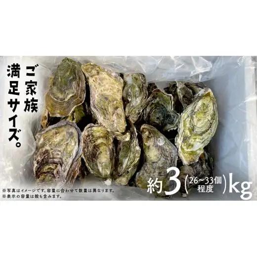 殻付き生牡蠣 冷蔵 約3kg ( 加熱用 ) 26～33個程度 【1月中旬～3月発送】 瀬戸内の離島から届く牡蠣  