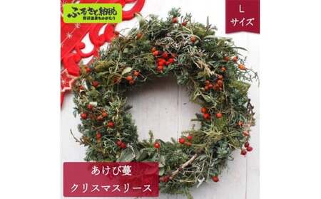 あけび蔓 クリスマスリース Lサイズ | W-1